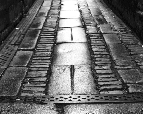 Middle of the Road