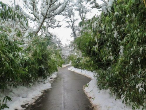 Frosty Bank