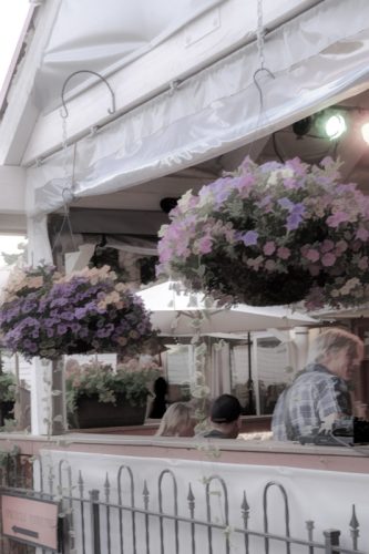 Hanging-Gardens