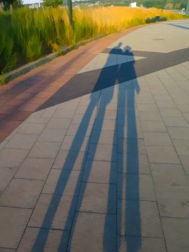 Shadow Study 3