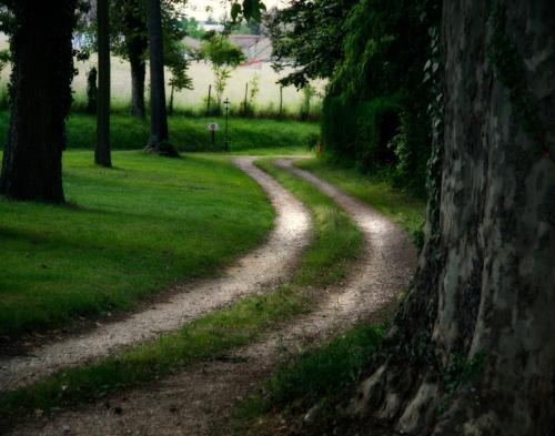 French Country Lane