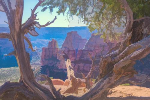 Colorado National Monument 1