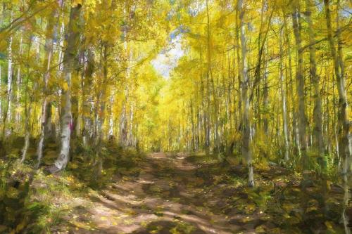 Autumn Colors Colorado