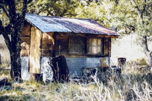 Weathered Cabin