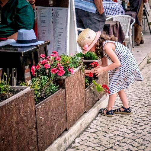 Little Gardener