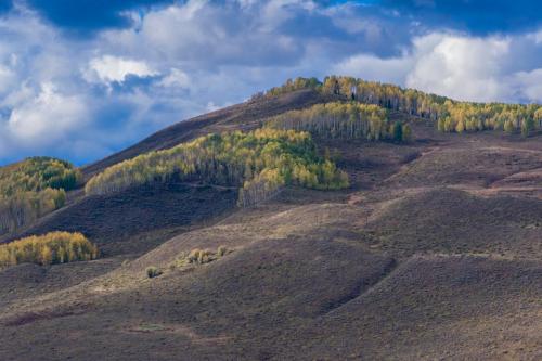Crested Butte Colorado