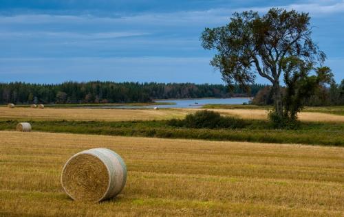 Hay Harvest, Prince Edward Island, Canada
