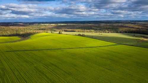 Nova Scotia Vista
